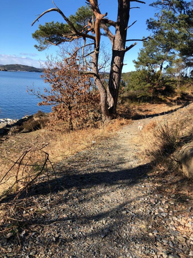 Sjonaer Idyll Διαμέρισμα Κρίστιανσαντ Εξωτερικό φωτογραφία